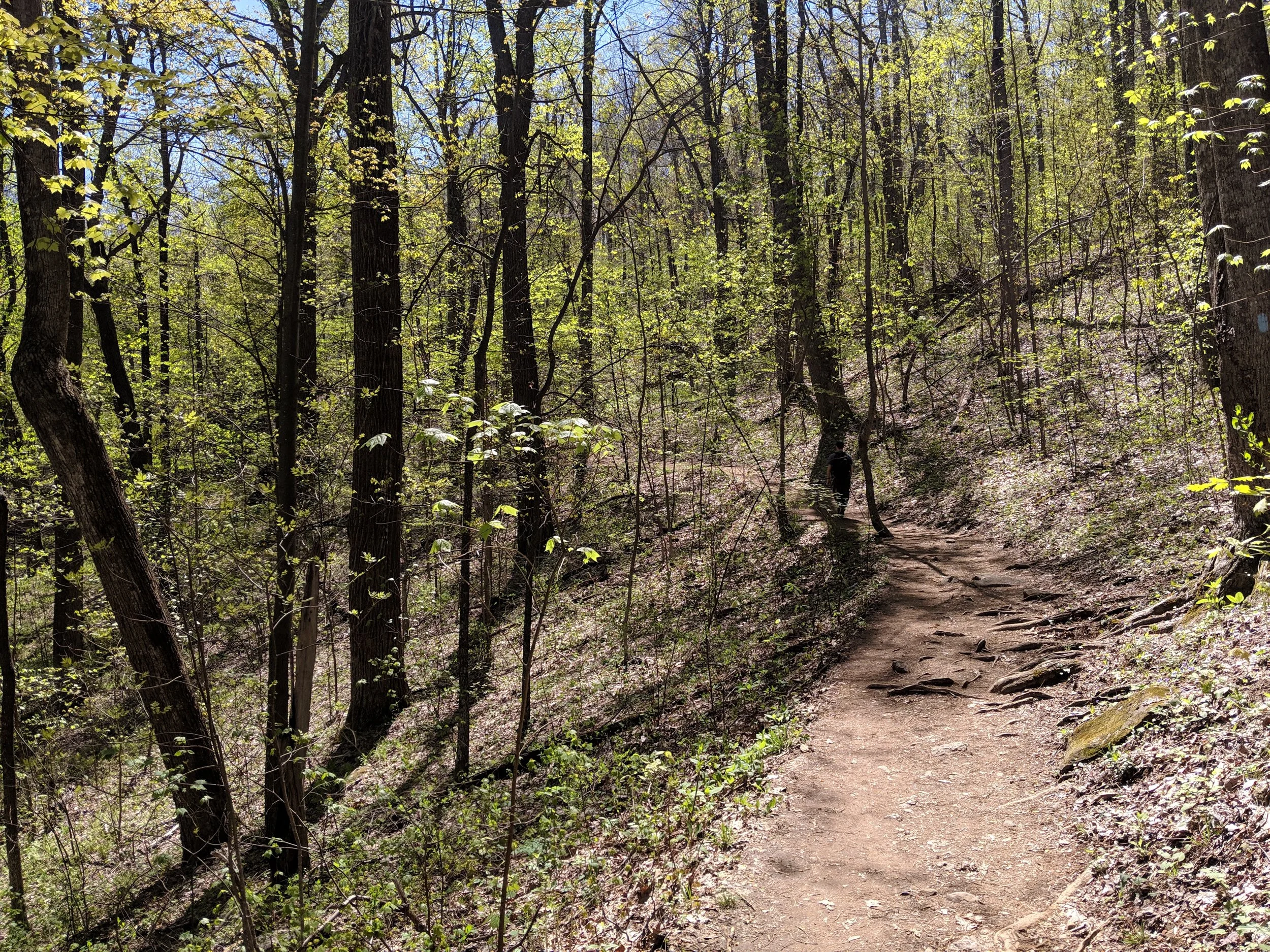 Old Rag Mountain: The Most Badass Hike in Virginia — Maps With No